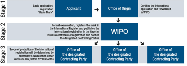 Stage 1  Application through your National or Regional IP Office (Office of origin)
Before you can file an international application, you need to have already registered, or have filed an application, in your home IP office. The registration or application is known as the basic mark. You then need to submit your international application through this same IP Office, which will certify and forward it to WIPO.
Stage 2  Formal examination by WIPO
WIPO only conducts a formal examination of your international application. Once approved, your mark is recorded in the International Register and published in the WIPO Gazette of International Marks. WIPO will then send you a certificate of your international registration and notify the IP Offices in all the territories where you wish to have your mark protected.
It is important to note that the scope of protection of an international registration is not known at this stage in the process. It is only determined after substantive examination and decision by the IP Offices in the territories in which you seek protection, as outlined in Stage 3.
Stage 3  Substantive examination by National or Regional IP Offices (Office of the designated Contracting Party)
The IP Offices of the territories where you want to protect your mark will make a decision within the applicable time limit (12 or 18 months) in accordance with their legislation. WIPO will record the decisions of the IP Offices in the International Register and then notify you.