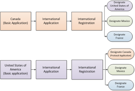 The image shows that the term "Basic application" refers to an application that has been filed in Canada through CIPO and constitutes the basis for international registration. 
It also illustrates the term "Protocol application" which refers to a request made through the International Bureau of WIPO to extend the protection of an international registration to Canada.